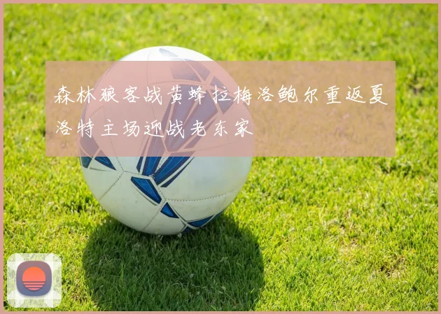 森林狼客战黄蜂拉梅洛鲍尔重返夏洛特主场迎战老东家